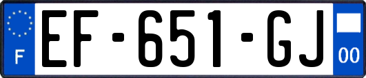 EF-651-GJ