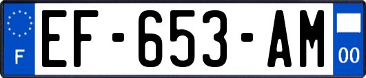 EF-653-AM