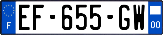 EF-655-GW