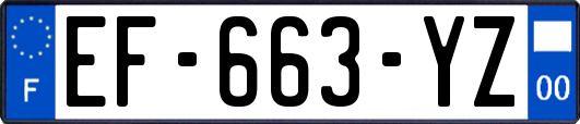 EF-663-YZ