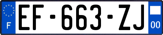 EF-663-ZJ