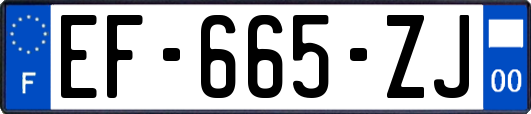 EF-665-ZJ