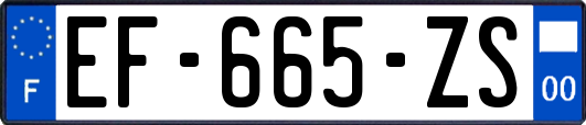 EF-665-ZS