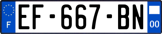 EF-667-BN