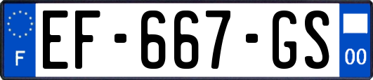 EF-667-GS