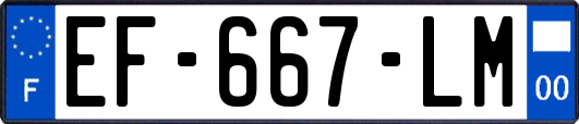 EF-667-LM