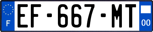 EF-667-MT