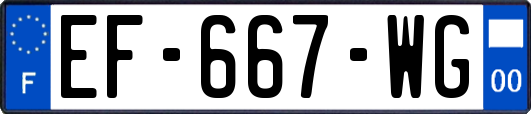 EF-667-WG