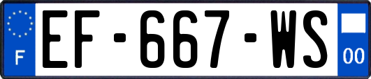 EF-667-WS