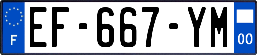 EF-667-YM