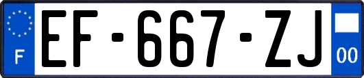 EF-667-ZJ