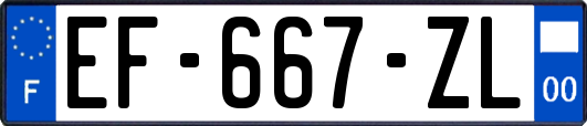 EF-667-ZL