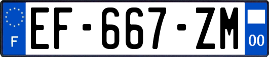 EF-667-ZM