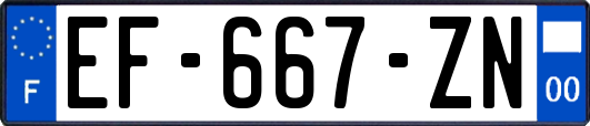 EF-667-ZN