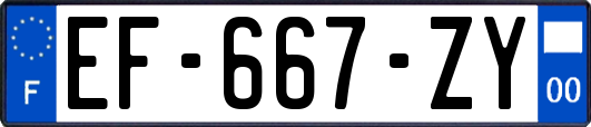 EF-667-ZY