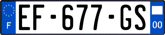 EF-677-GS