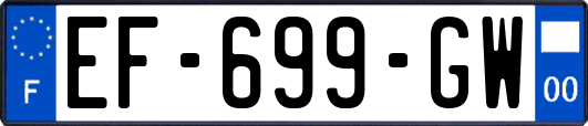 EF-699-GW