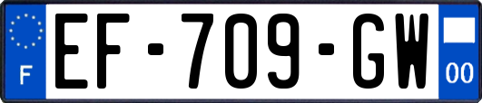EF-709-GW