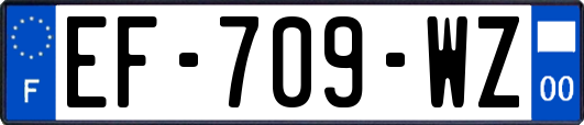 EF-709-WZ