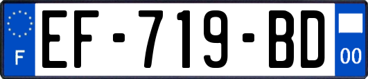 EF-719-BD