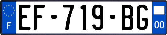 EF-719-BG