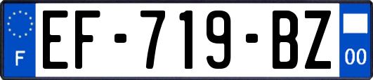 EF-719-BZ