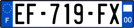 EF-719-FX