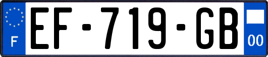 EF-719-GB