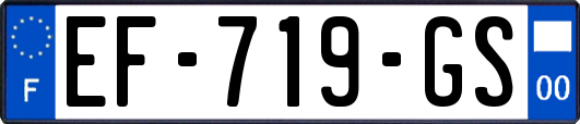 EF-719-GS