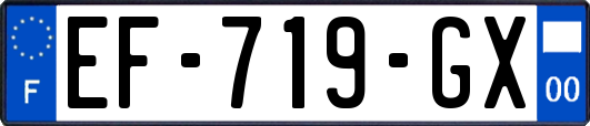 EF-719-GX