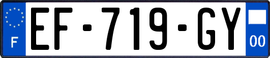 EF-719-GY