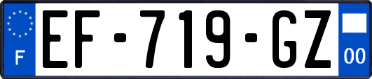 EF-719-GZ
