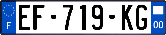 EF-719-KG