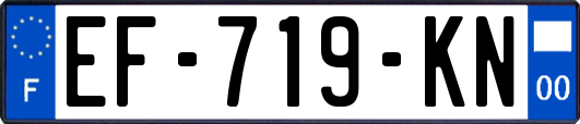 EF-719-KN