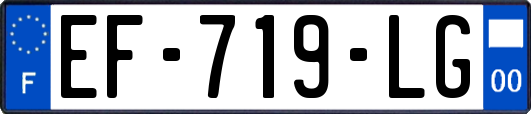 EF-719-LG