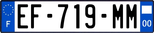 EF-719-MM