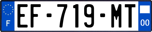 EF-719-MT