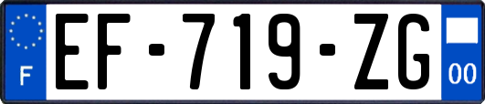 EF-719-ZG