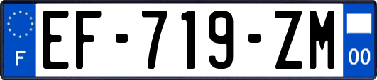 EF-719-ZM