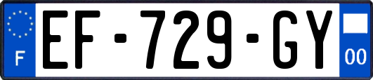 EF-729-GY