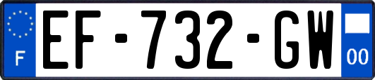 EF-732-GW