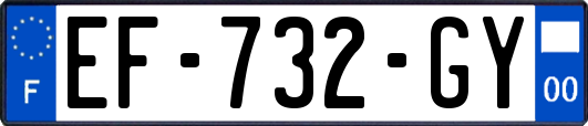 EF-732-GY