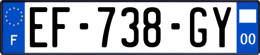 EF-738-GY