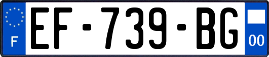 EF-739-BG