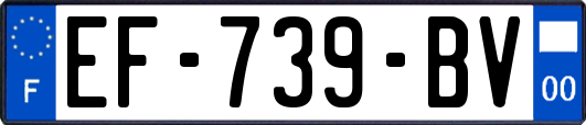 EF-739-BV