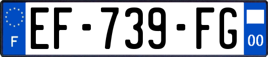 EF-739-FG