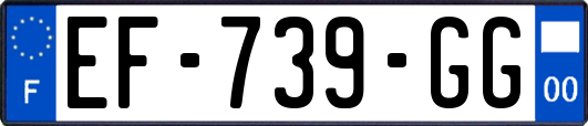 EF-739-GG