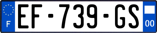 EF-739-GS