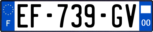EF-739-GV