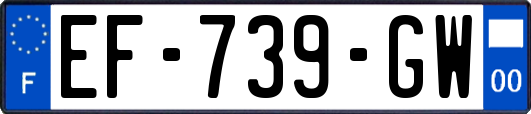 EF-739-GW